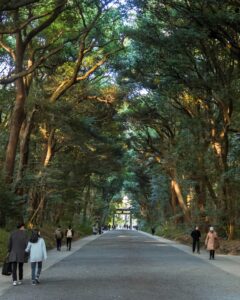 meiji-jingu-shrine