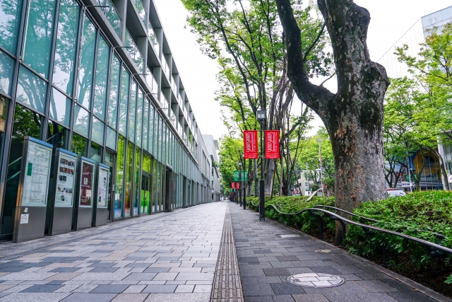 Omotesando Avenue