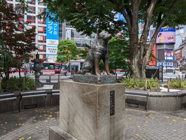 Statue of Hachiko