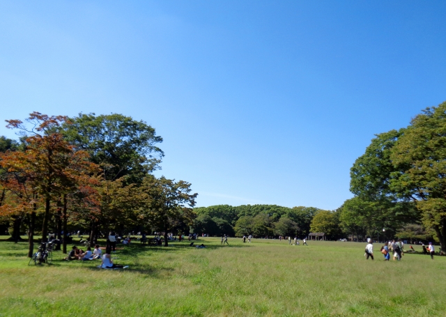 Yoyogi Park